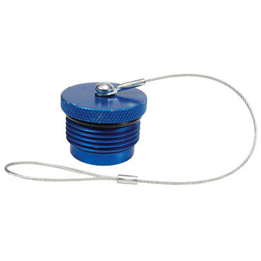 Dixon Valve & Coupling2VEPDP-A